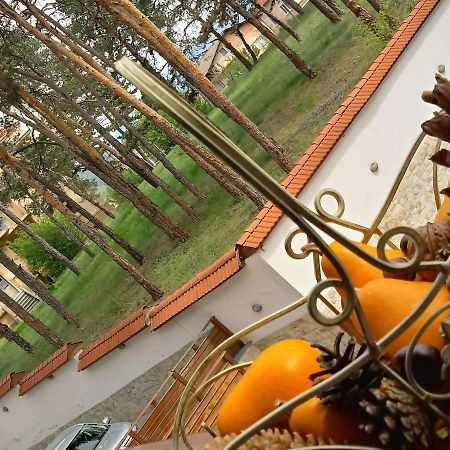 Апартамент Allegri Padrini Комплекс Вели Хилс Velingrad Dış mekan fotoğraf